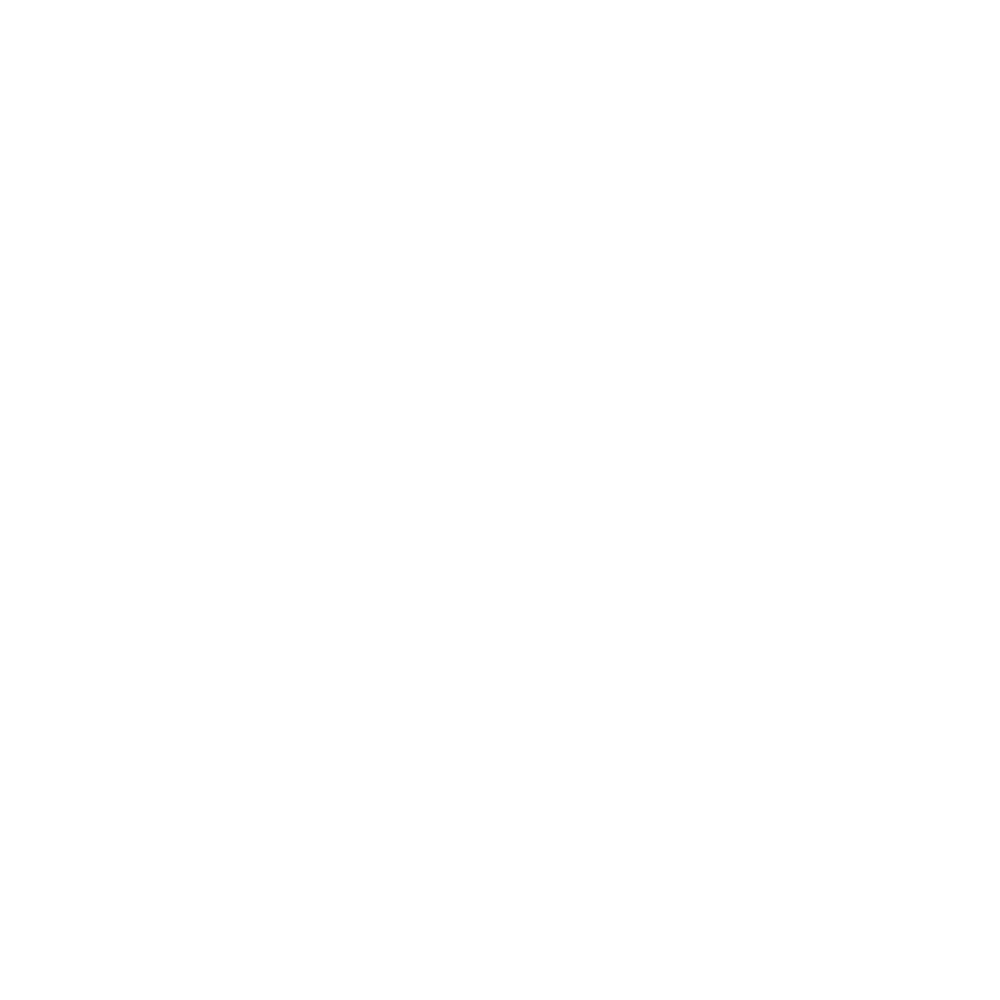 Logo 9